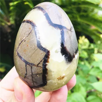 180-200 г натуральных мадагаскарских минеральных яиц, каменные яйца с черепашьей спинкой украшение для дома + основа