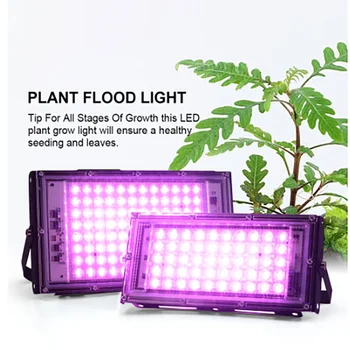 50 Вт 100 Вт 200 Вт AC220V Grow Light Светодиодная лампа полного спектра, Светодиодная лампа для растений, Теплицы, Фито-лампа для гидропоники, Палатка для выращивания