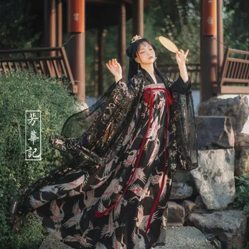 Оригинальные Китайские Традиционные платья Hanfu с принтом черного Журавля, Костюм Принцессы Династии Хань, костюмы для Косплея на сцене